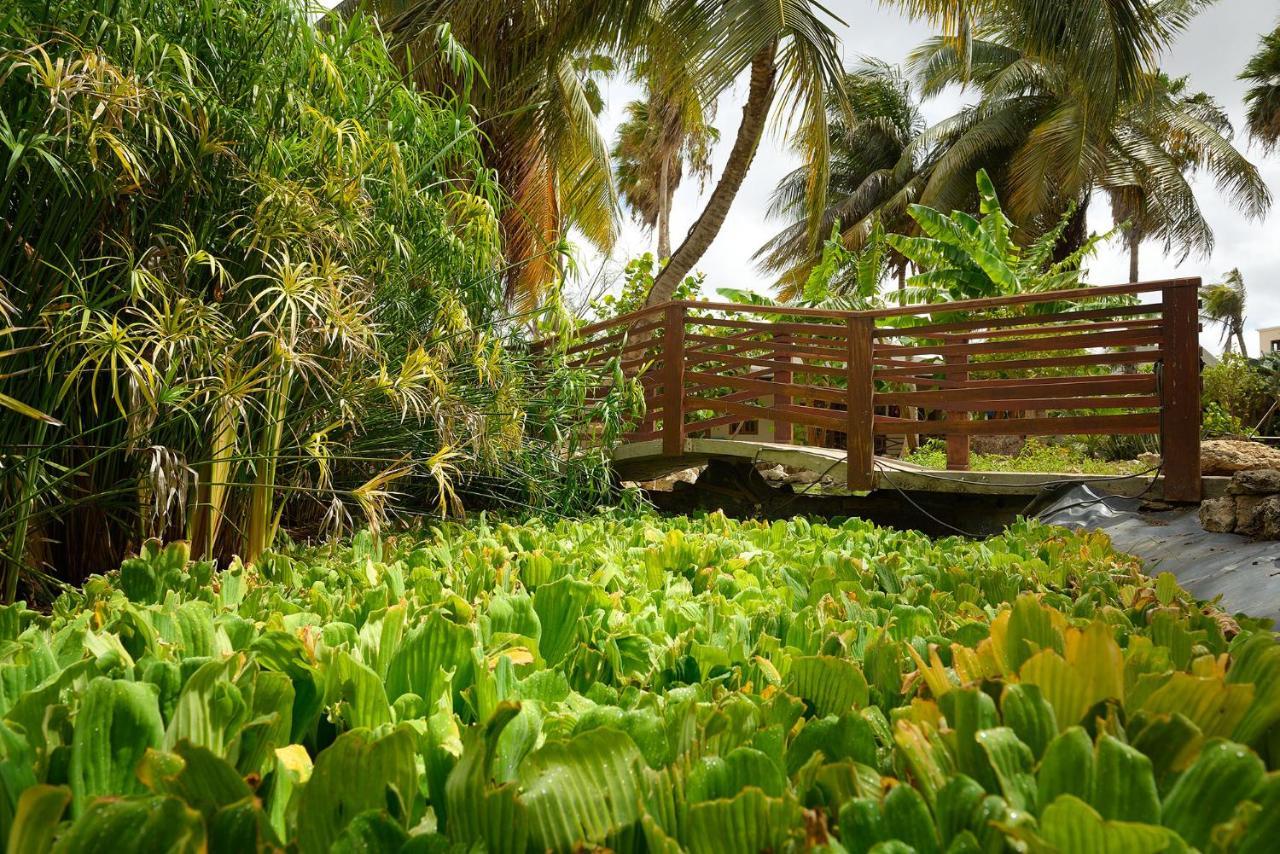 Captain Don'S Habitat Playa Exterior foto